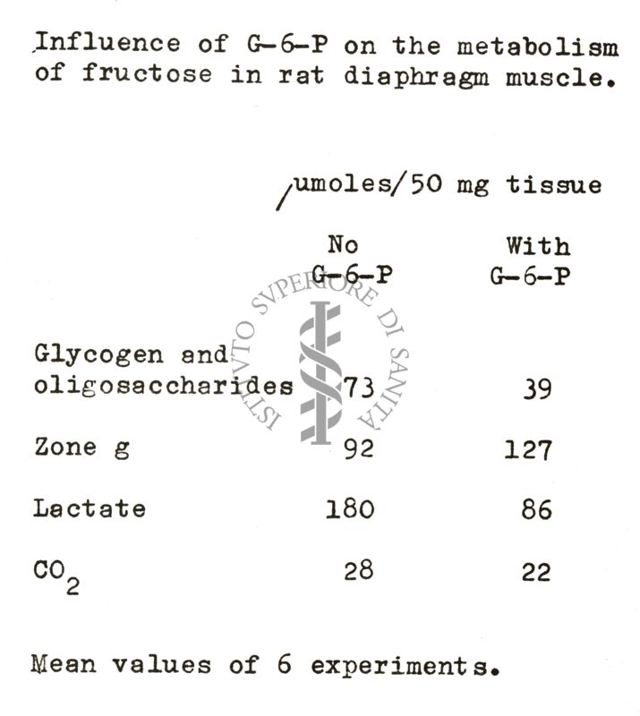 Studi metabolici sul diagramma di ratto isolato