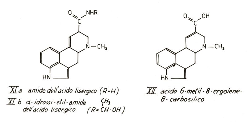 Studi metabolici con traccianti radioattivi