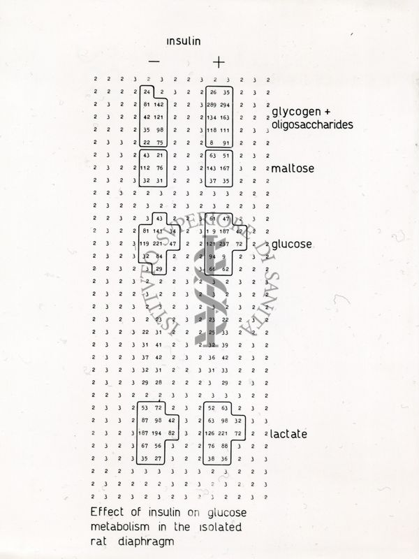 Effetti dell'insulina sul metabolismo del glucosio nel diaframma di ratto isolato
