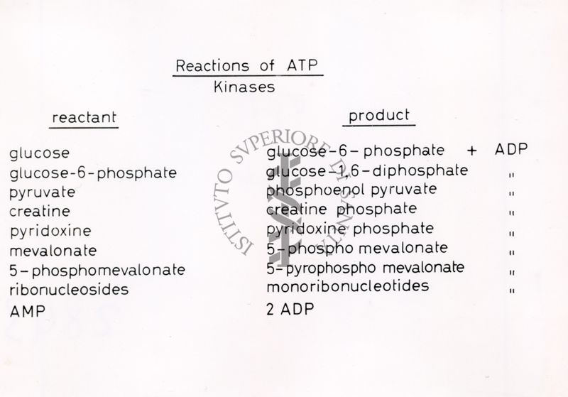 Reazioni di ATP - Chinasi