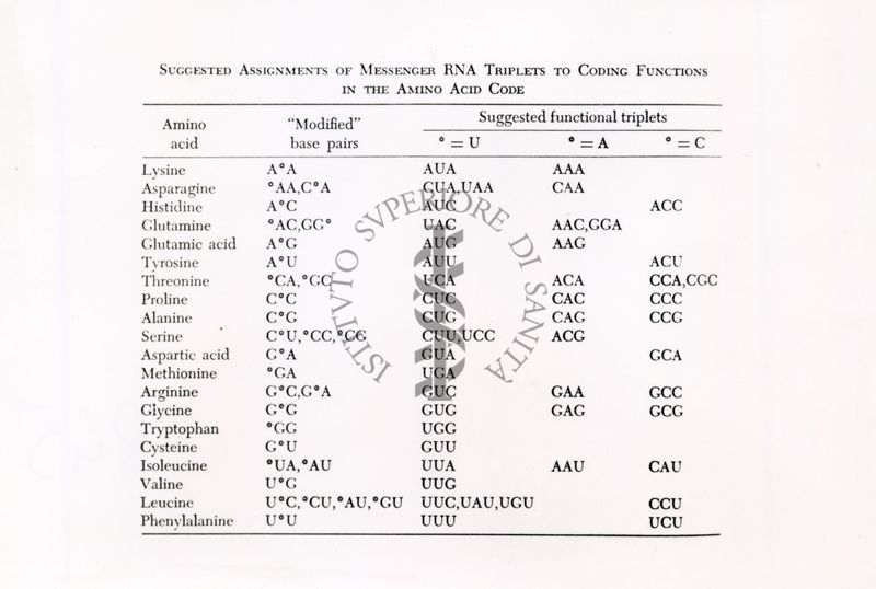 Assegnazioni suggerite di triplette di RNA messaggero a funzioni codificanti nel codice degli aminoacidi