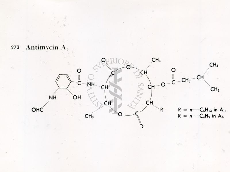 Formule di struttura riguardanti l'Antimicina A