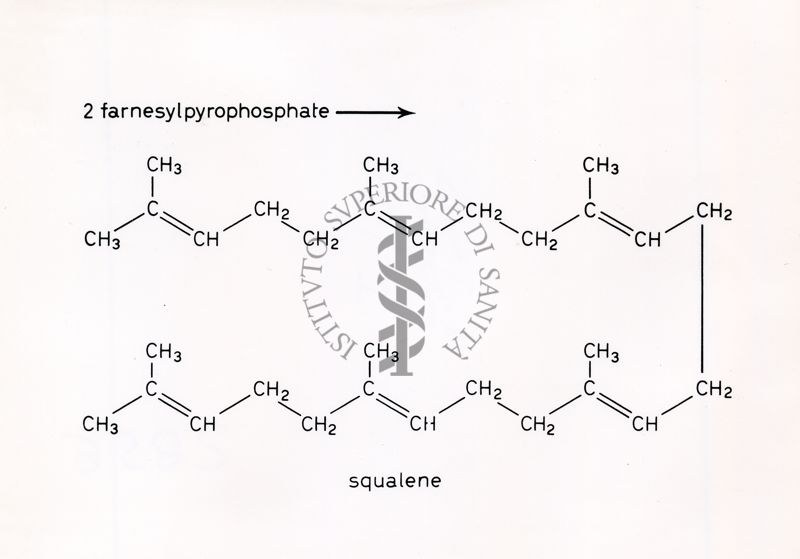 Formule di struttura riguardanti il 2 farnesilpirofostato e lo squalene