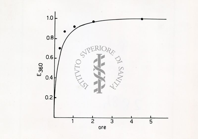 Grafico - asse delle ascisse: ore; asse delle ordinate: E360