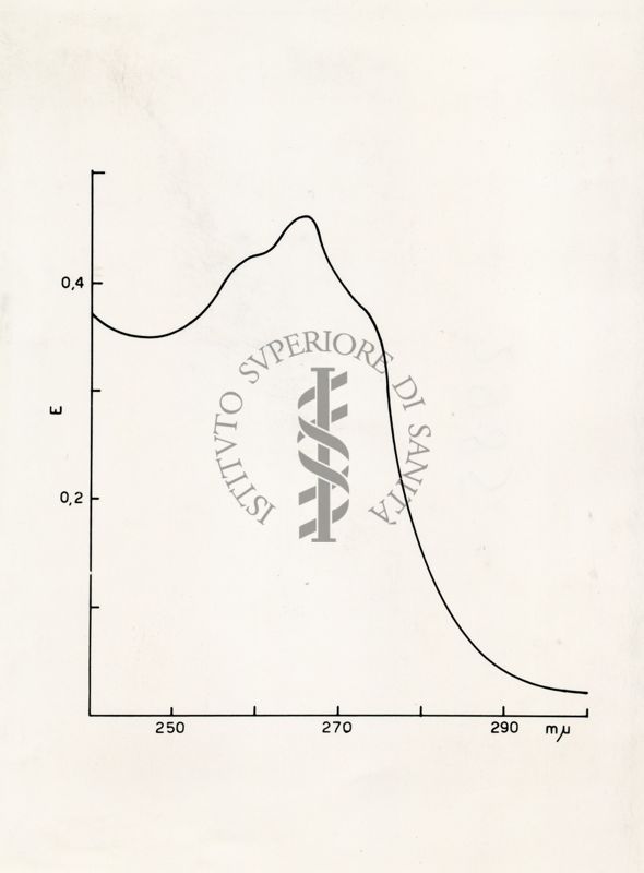 Grafico - asse delle ordinate: E