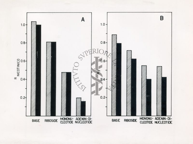 Grafico riguardante i livelli di base, di riboside, di mononucleotide e di adenin-di-nucleotide