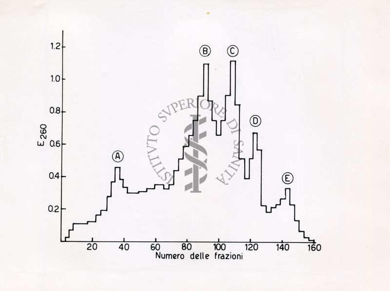 Grafico - asse delle ascisse: numero delle frazioni; asse delle ordinate: E260