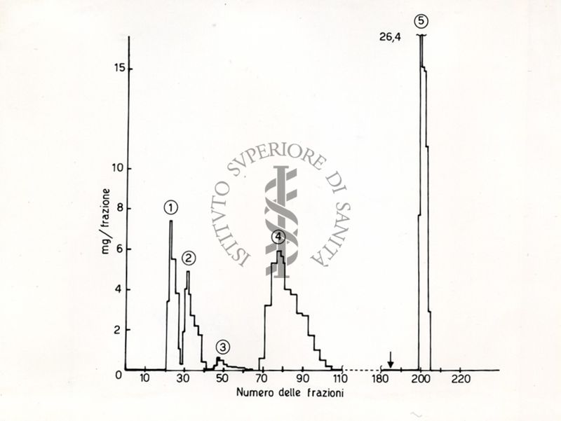 Grafico - asse delle ascisse: numero delle frazioni; asse delle ordinate: mg/frazioni