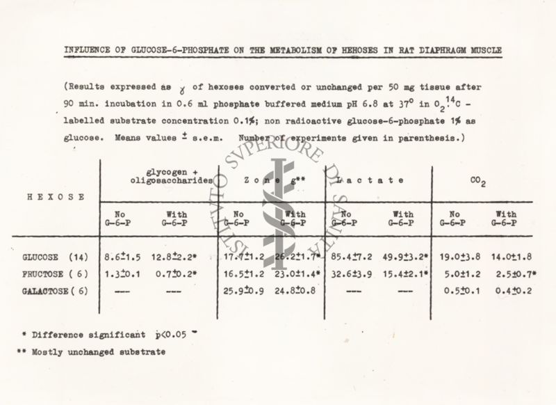 Influenza del glucosio-6-fosfato sul metabolismo degli esosi nel muscolo del diaframma del ratto