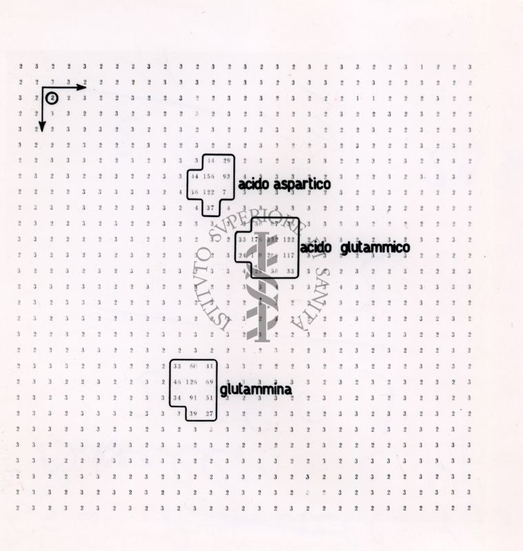 Acido aspartico, acido glutamico e glutamina