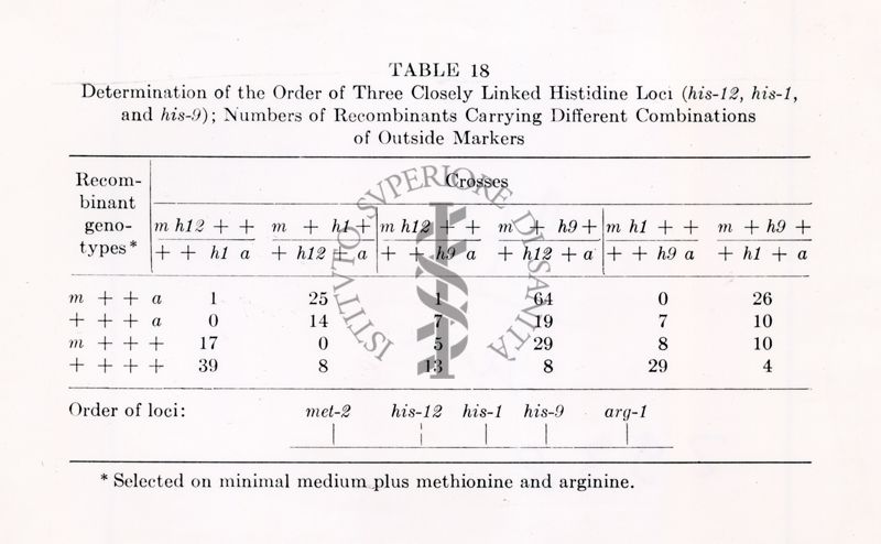 Determinazione dell'ordine di tre loci dell'istidina strettamente collegati (his-12, his-1 e his-9); numero di ricombinanti che trasportano diverse combinazioni di marcatori esterni