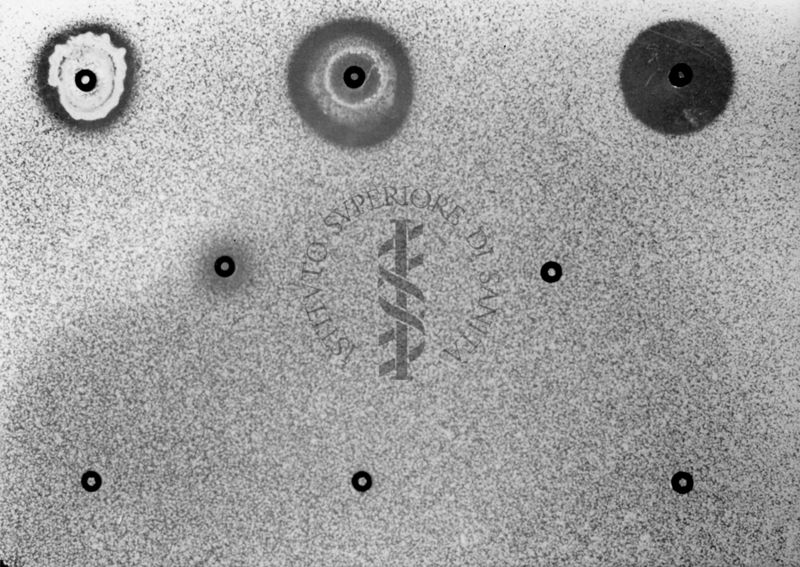 Titolazione microbiologica su piastra degli estrogeni sintetici