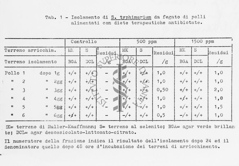 nella foto tabella con dati di isolamento di S. typhimurium da fegato di polli alimentati con diete terapeutiche antibiotate