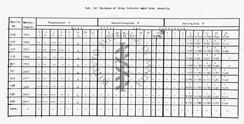 nella foto tabella con dati Chickens of group infected with Salm. Bareilly