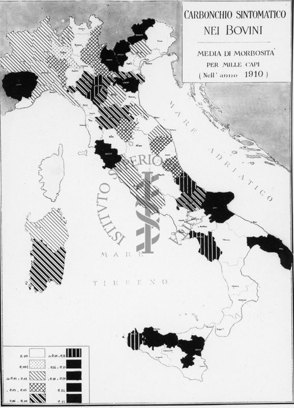 Cartogramma riguardante il Carbonchio sintomatico nei bovini. Media di morbosità per mille capi nell'anno 1910