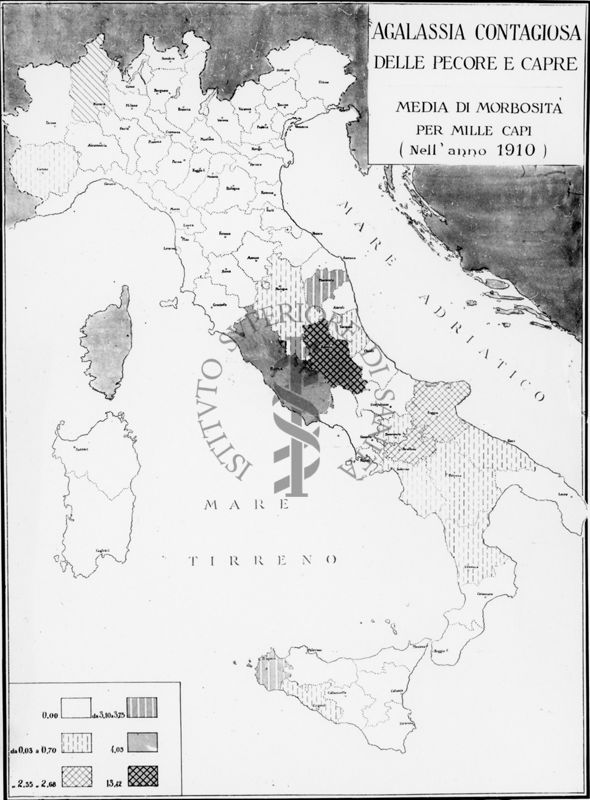 Cartogramma riguardante la Agalassia contagiosa delle pecore e capre. Media di morbosità per mille capi nell'anno 1910