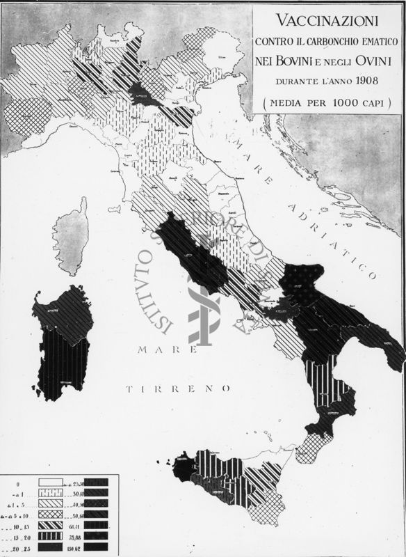 Cartogramma riguardante le vaccinazioni contro il carbonchio Ematico nei bovini e negli ovini durante l'anno 1908