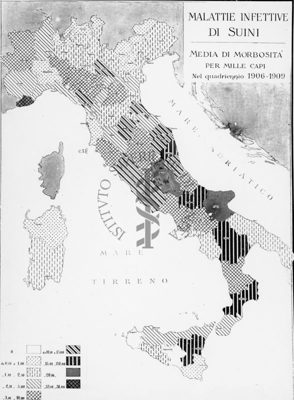 Cartogramma riguardante le malattie infettive di suini. Media di morbosità per mille capi nel quadriennio 1906-1909