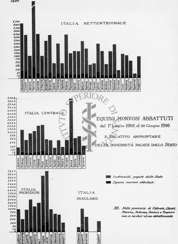 Diagramma riguardante gli Equini Morvosi abbattuti dal 1° luglio 1902 al 30 giugno 1910