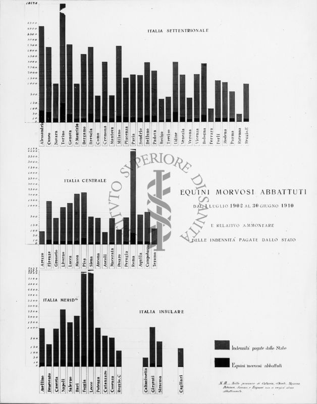 Diagramma riguardante gli Equini Morvosi abbattuti dal 1° luglio 1902 al 30 giugno 1910