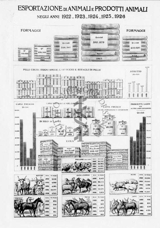 Diagramma riguardante l'esportazione di animali e prodotti animali negli anni dal 1922 al 1926