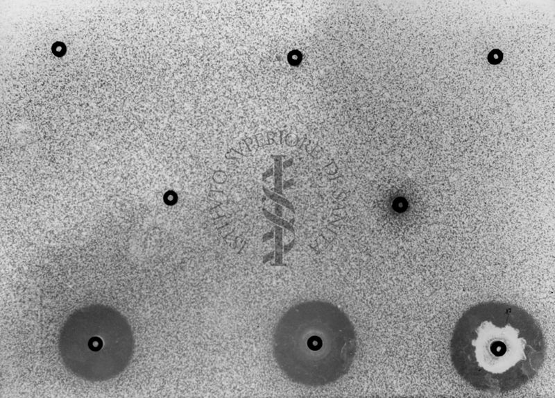 Titolazione microbiologica su piastra degli estrogeni sintetici