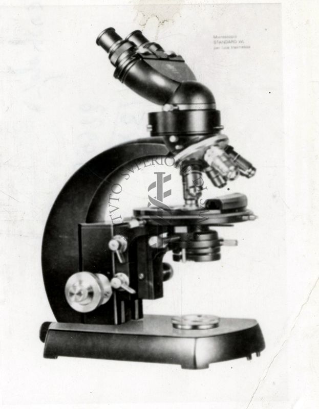 Microscopio bioculare probabilmente Zeiss