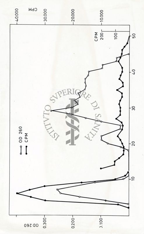 Grafici riguardanti studi su infettività di cellule