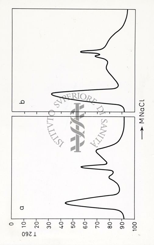 Grafici riguardanti studi su infettività di cellule