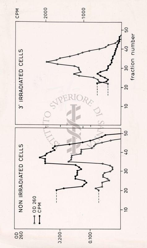 Grafici riguardanti studi su infettività di cellule