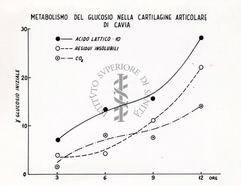 Tabella relativa al Metabolismo del glucosio nella cartilagine articolare di cavia