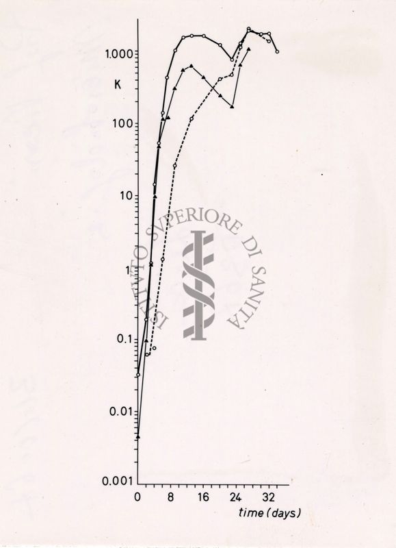 Grafici e tabelle riguardanti "Cellular and Humoral Primary Response in One Intravenous injection of 10 Particles of OX174"