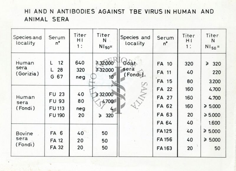 Grafico su: Hi and N antibodies against TBE virus in human and animal sera