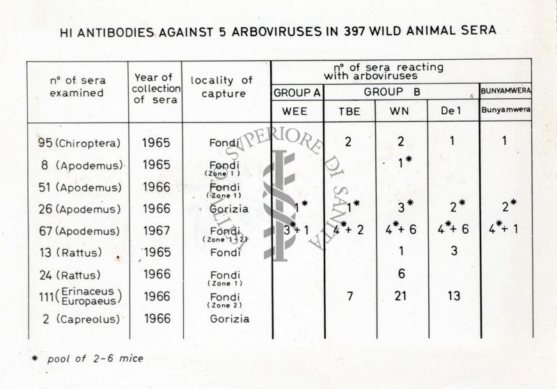 Grafico su: "H antibodies against 5 arboviruses in 397 wild animal sera"