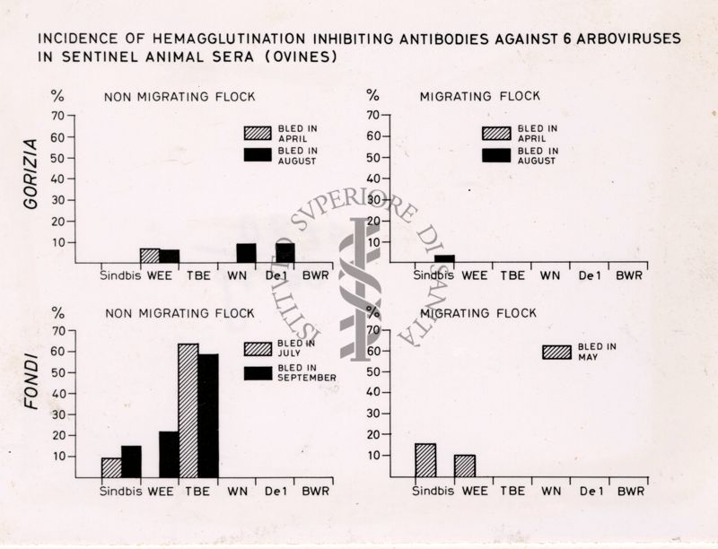 Grafico su: "Incidence of Hemagglutination inhibiting antibodies against 6 arboviruses in sentinel animal sera (ovines)"