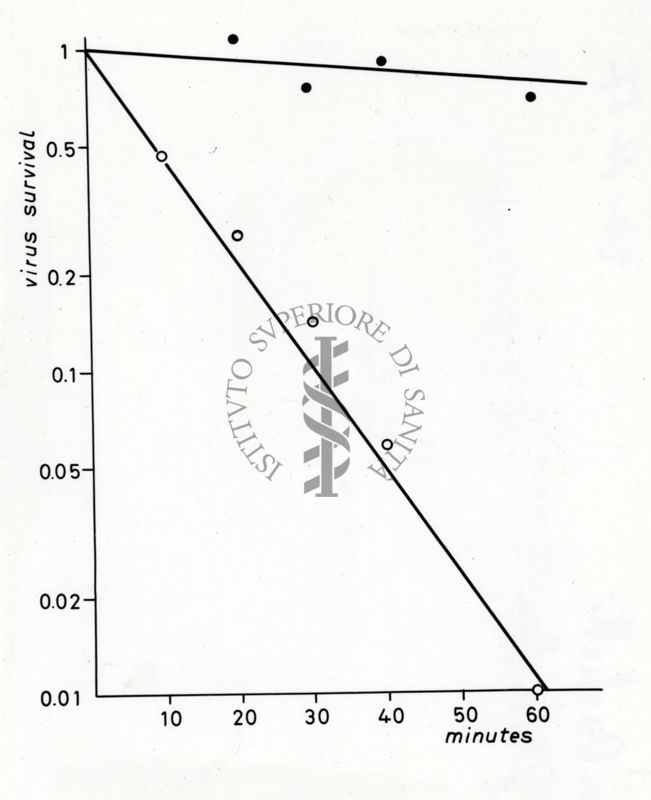 Studi microbiologici con grafici riguardanti la sopravvivenza dei virus nel tempo