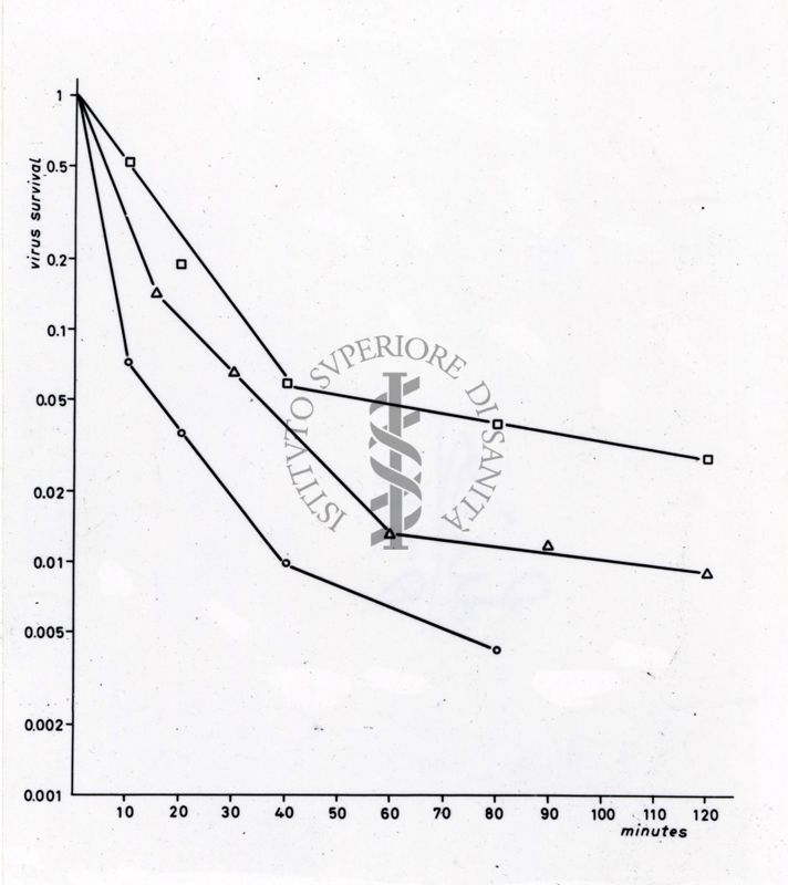 Studi microbiologici con grafici riguardanti la sopravvivenza dei virus nel tempo