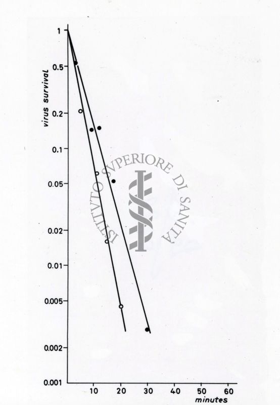 Studi microbiologici con grafici riguardanti la sopravvivenza dei virus nel tempo