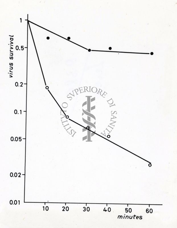 Studi microbiologici con grafici riguardanti la sopravvivenza dei virus nel tempo