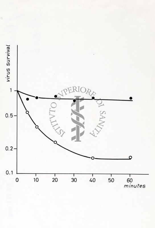 Grafici su studi microbiologici di virus