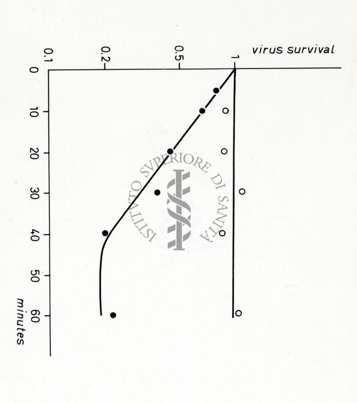 Grafici su studi microbiologici di virus