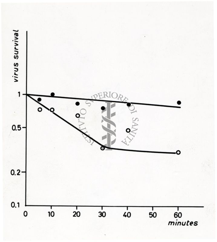 Grafici su studi microbiologici di virus