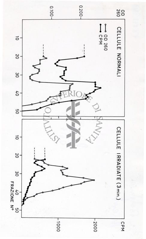 Grafici riguardanti studi microbiologici su cellule infette