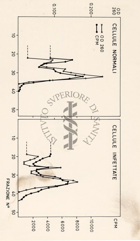 Grafici riguardanti studi microbiologici su cellule infette