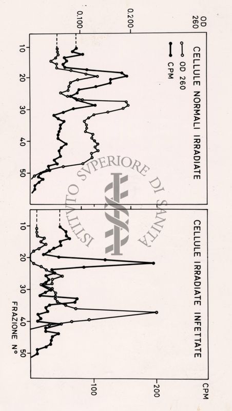 Grafici riguardanti studi microbiologici su cellule infette