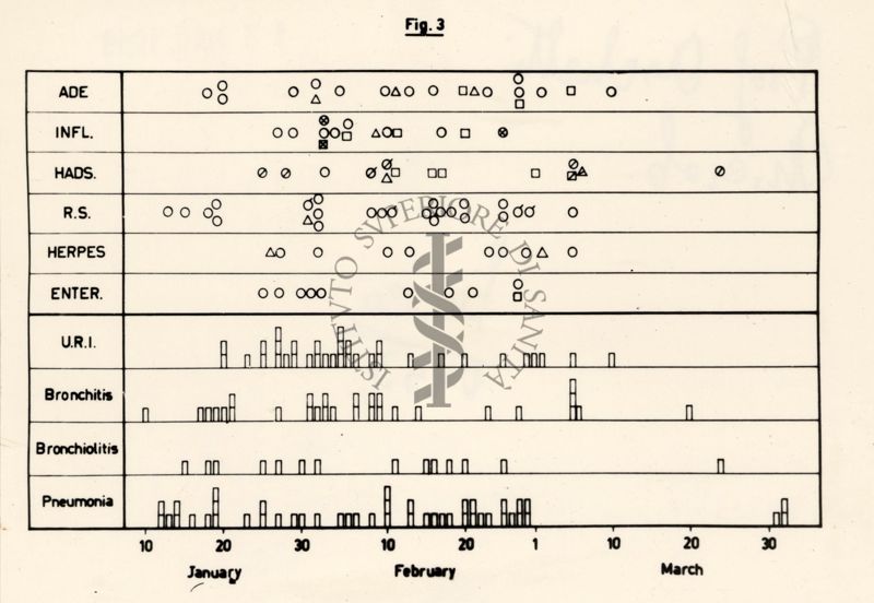 Grafico riguardante l'isolamento di vari virus: bronchite, bronchiolite e pneumonia