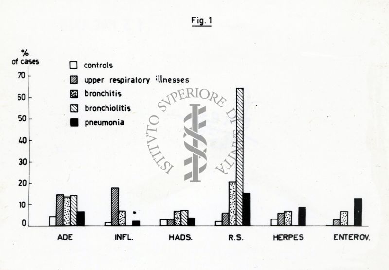 Grafico riguardante l'isolamento di vari virus: bronchite, bronchiolite e pneumonia