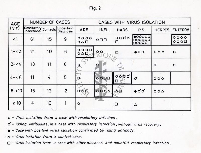 Grafico riguardante l'isolamento di vari virus: bronchite, bronchiolite e pneumonia