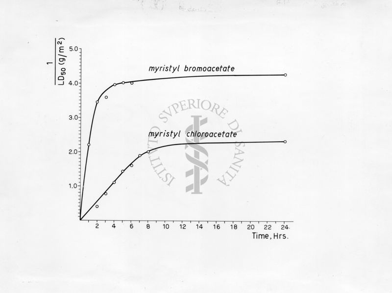 Abbattimento di mosche femmine a contatto con bromo e cloroacetato di miristile (inverso delle DL50 a diversi tempi)