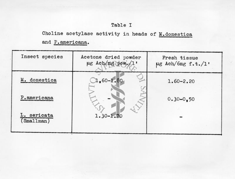 Azione tossica delle sostanze alchilanti alogenate sugli insetti. Sostanze alchilanti sono farmaci antitumorali